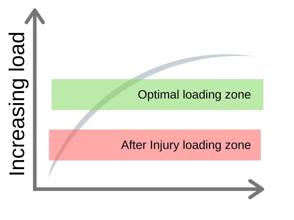 Graph displaying optimal loading zone and 'after injury' loading zone for Achilles Tendinopathy